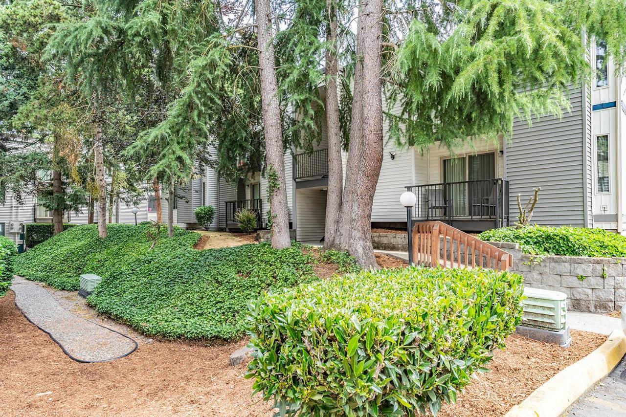 Beautiful And Cozy One Bedroom Apartment -Wifi, Bbq, Patio, Dog Park, Close To Greenlake And Northgate Seattle Exterior foto